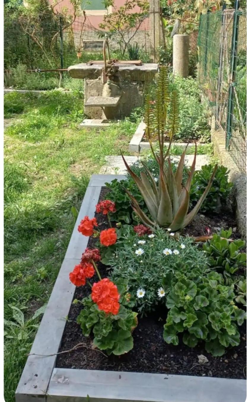 Casa Giulia Appartamento
